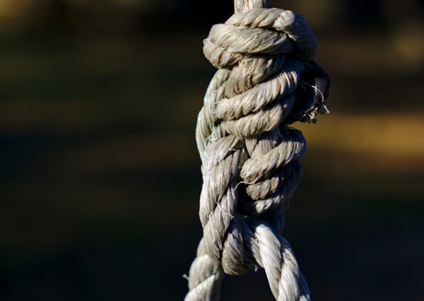 Building Resilience