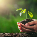 Self-Love Is Not Indulgent: It's the Foundation of How You Lead