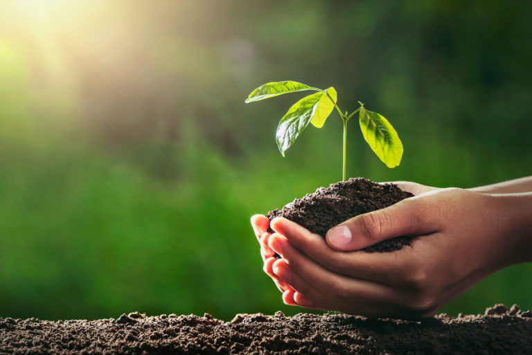 Corporate Training & Personal Development, ISRA